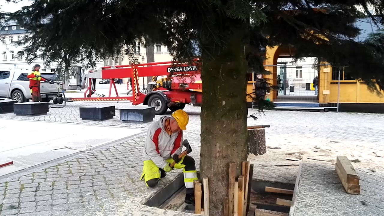 MEgional am 7. November 2019 mit dem Weihnachtsbaum auf dem Marienberger Marktplatz