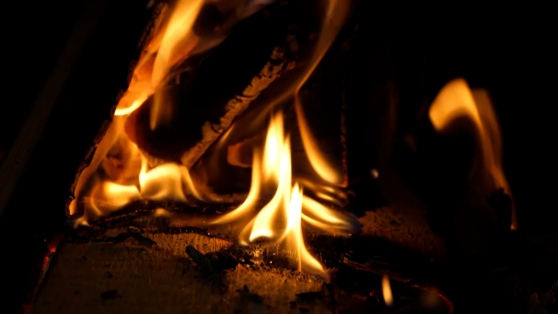 MEgional am 23. September 2022 - mit gestiegenen Holzpreisen